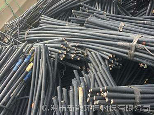 &#20122;&#32654;&#40;&#20013;&#22269;&#41;&#20307;&#32946;&#23448;&#26041;&#32593;&#31449;